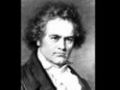 Grosse Fuge, Ludwig van Beethoven part 1