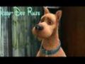 Scooby-Doo Pictures That I Made Video