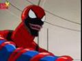 Spider-man TAS: Spider Carnage Tribute