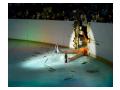 Funny wallpapers Stars on Ice 014035